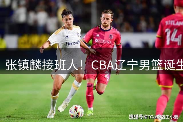 张镇麟接班人！CBA辽宁男篮诞生锋线新星，单场31分10板带队逆转